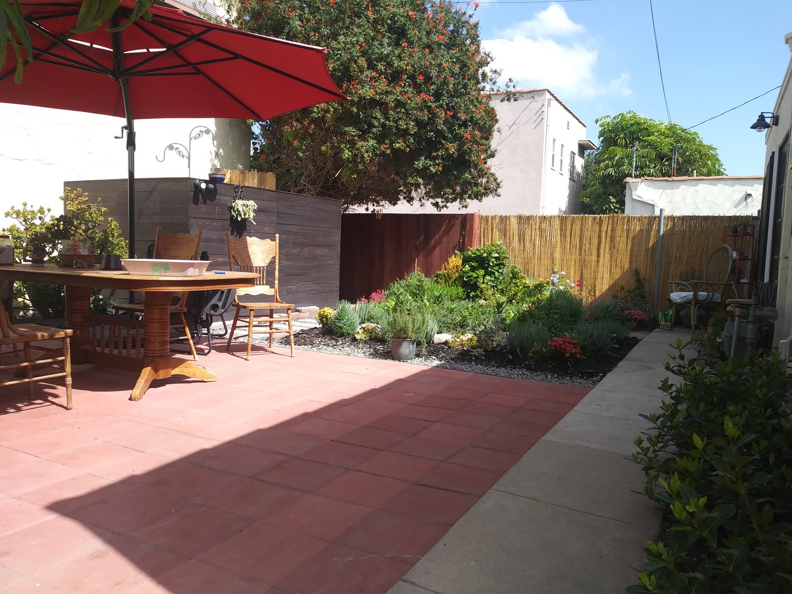 Succulent garden dg path and square pavers installation